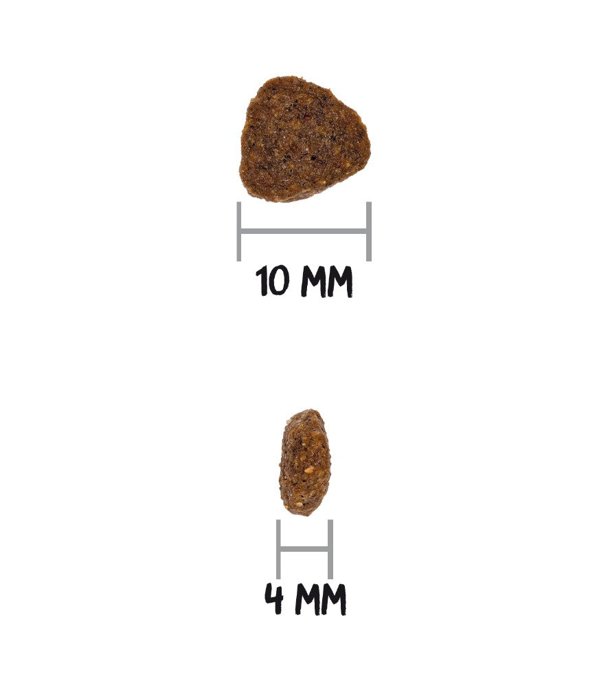GRAIN FREE GF PRIME sans céréales pour Chaton Tout Pour Eux
