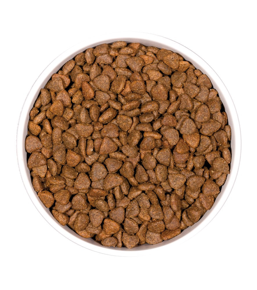 GRAIN FREE GF PRIME sans céréales pour Chaton Tout Pour Eux