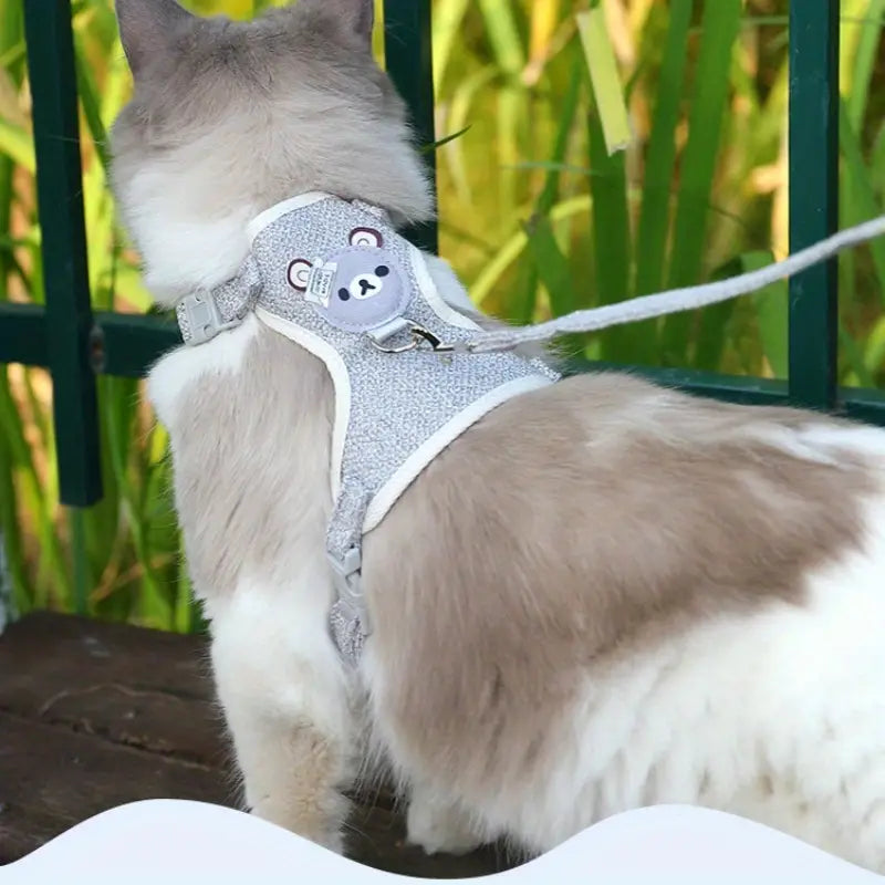 Laisse et Harnais souple réglable Pour Chat ou petit chien (fait main) Tout Pour Eux