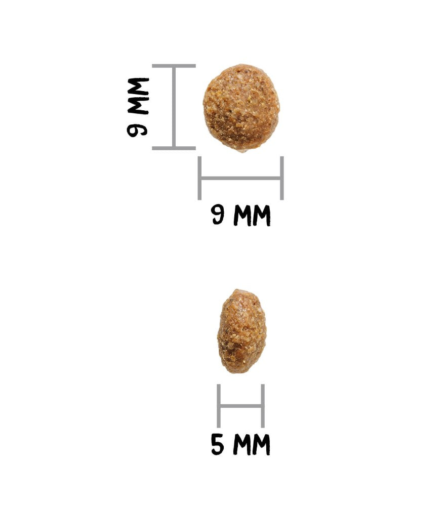 OWNAT Author Fresh Low Grain Agneau & Porc pour chien adulte Tout Pour Eux
