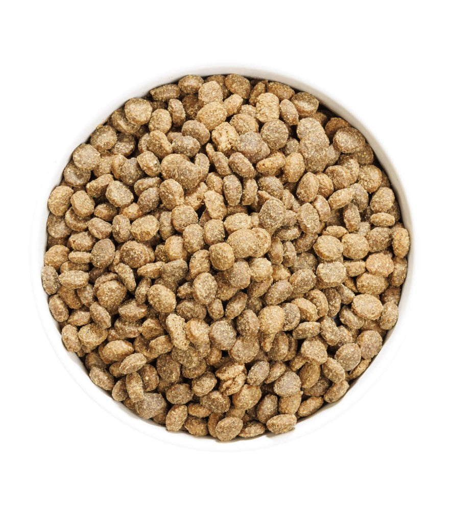 OWNAT Author Fresh Low Grain Agneau & Porc pour chien adulte Tout Pour Eux