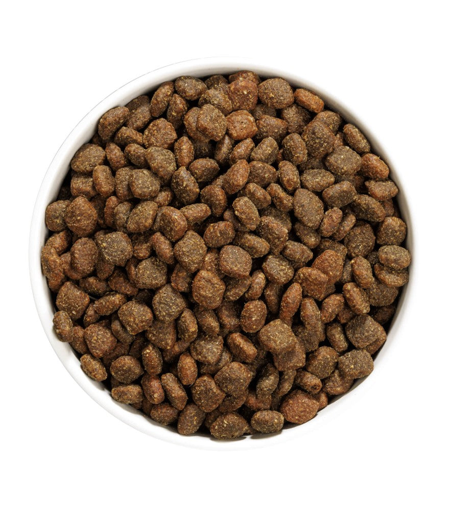 OWNAT Author Fresh Sans céréales Canard & Poulet pour chien adulte Tout Pour Eux