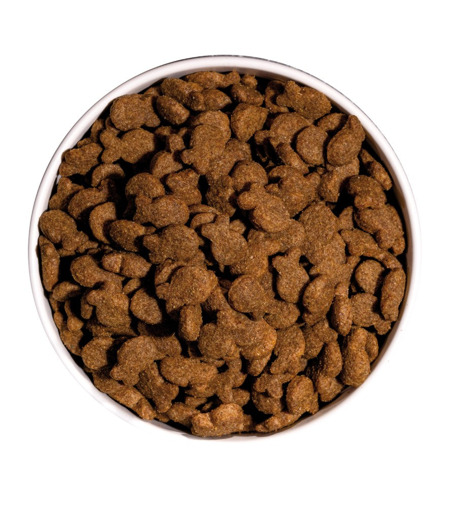 OWNAT CLASSIC FISH (DOG) Tout Pour Eux