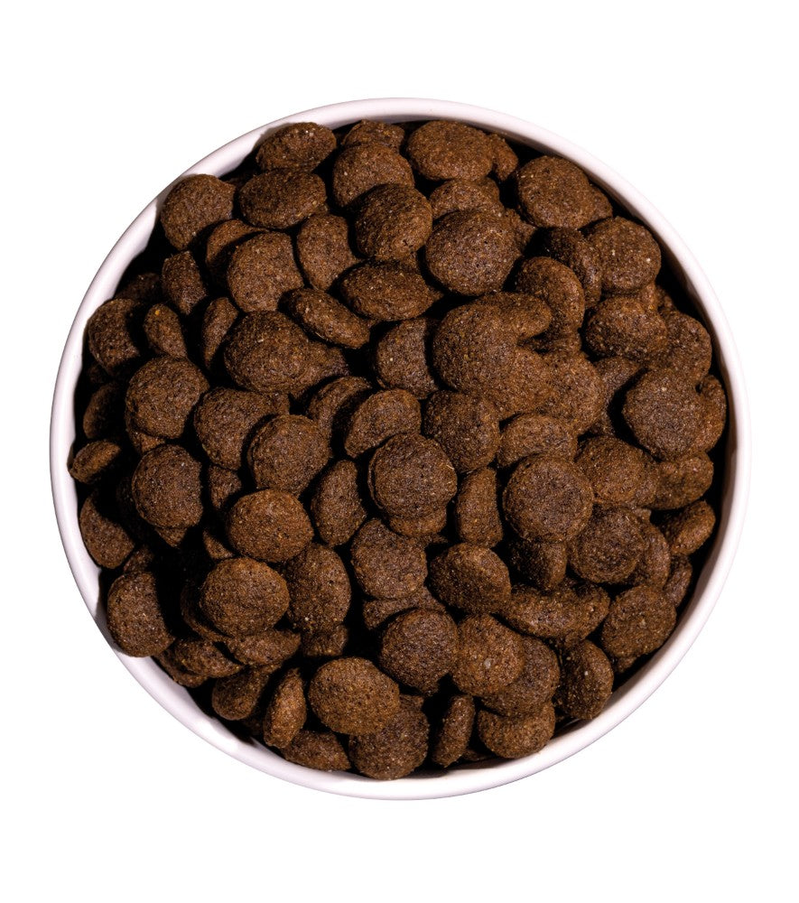 OWNAT Classic Duck pour chien adulte au canard Tout Pour Eux