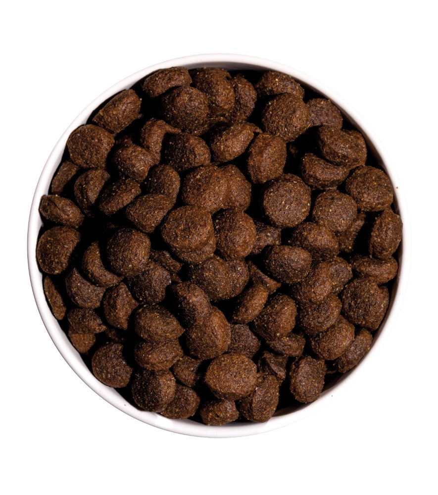 OWNAT Classic Energy pour chien adulte actif au poulet Tout Pour Eux