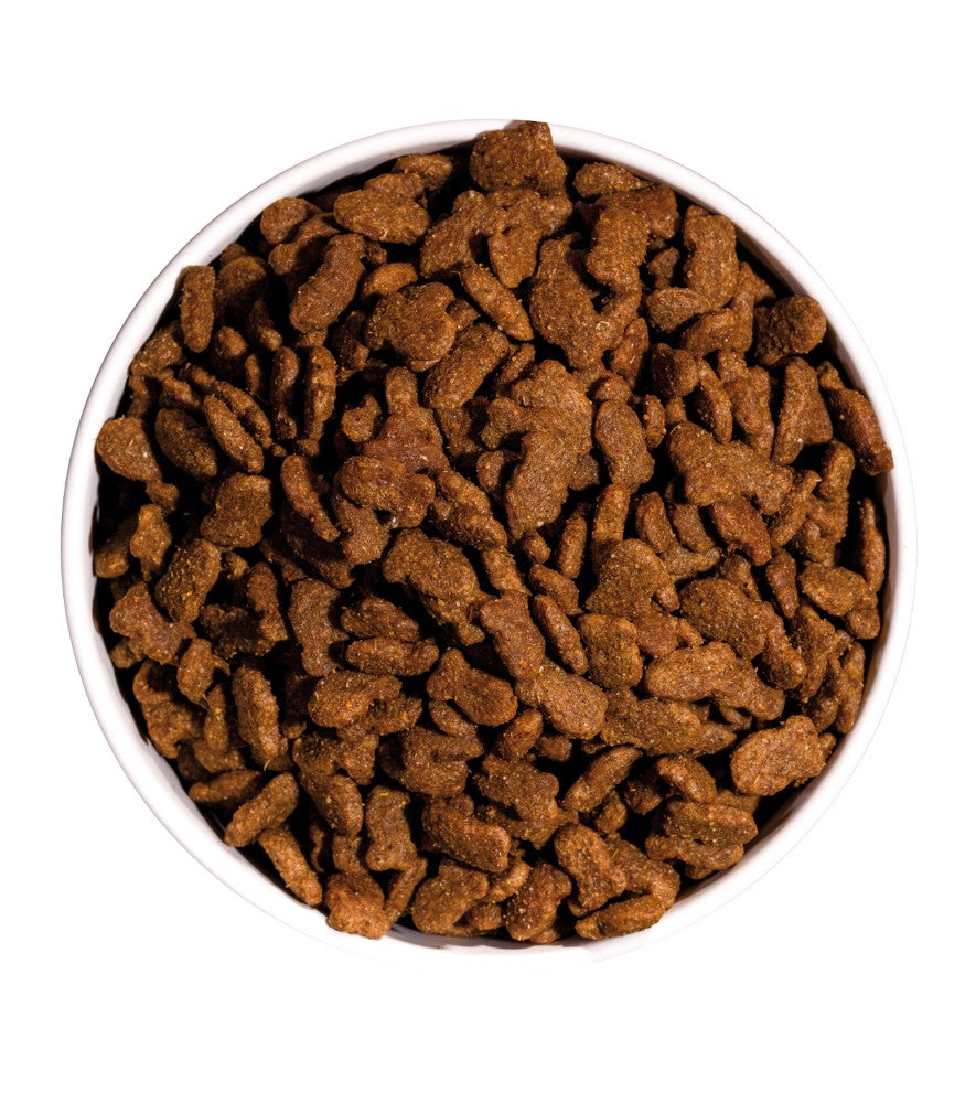 OWNAT Classic Fish pour chat adulte au poisson Tout Pour Eux
