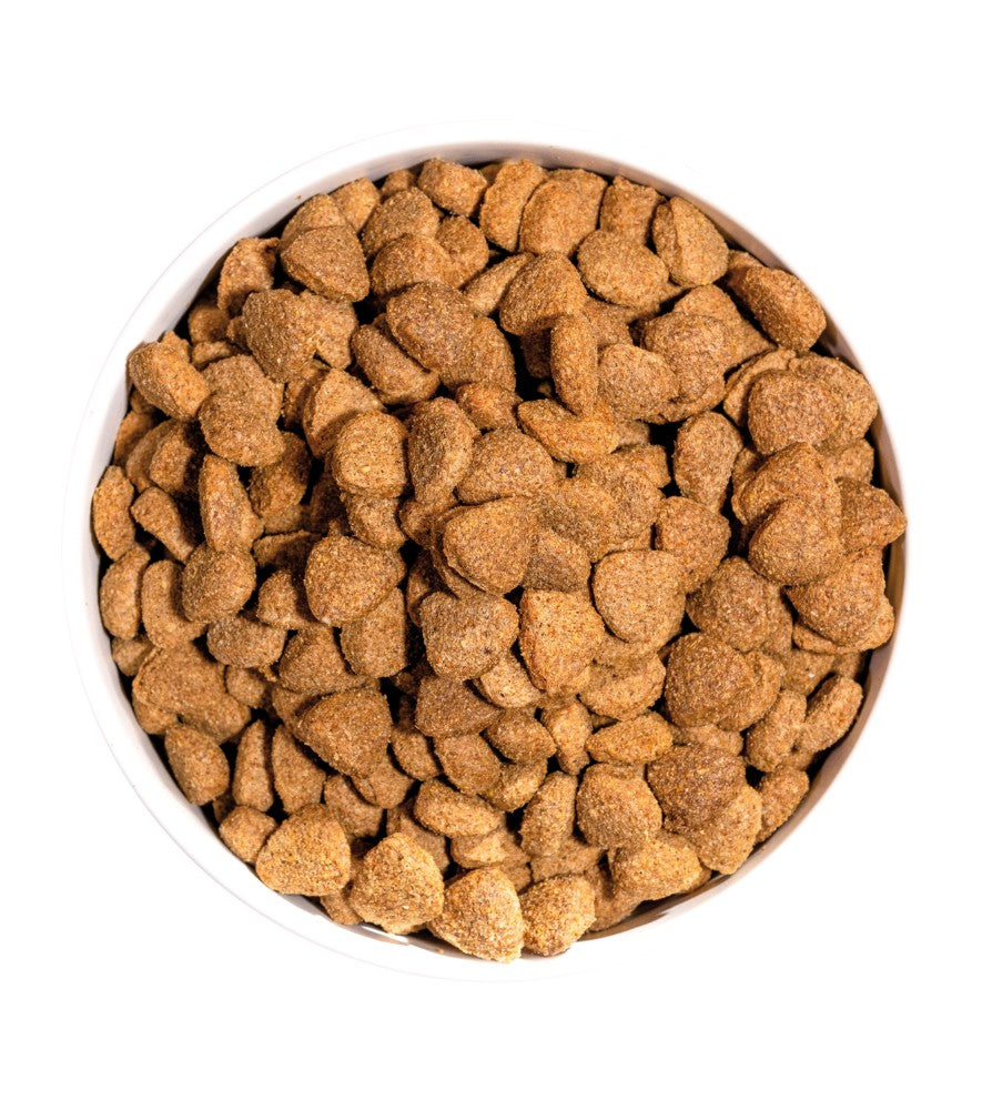 OWNAT Classic Light pour chien adulte Tout Pour Eux