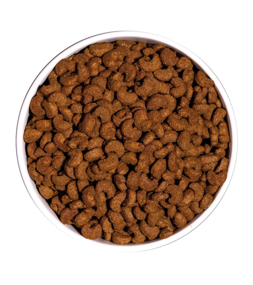 OWNAT Classic Sterilized pour chat adulte stérilisé Tout Pour Eux