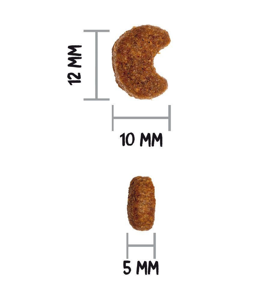 OWNAT Classic Sterilized pour chat adulte stérilisé Tout Pour Eux