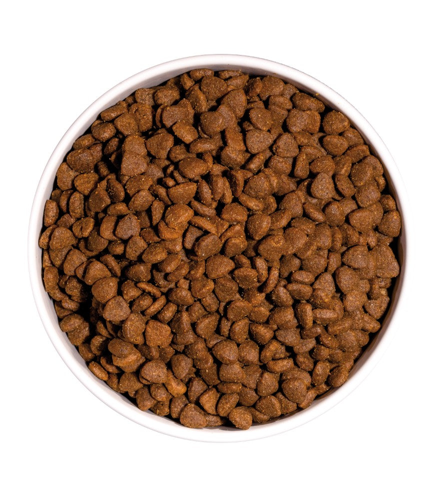 OWNAT Just Grain Free sans céréales au poulet pour chat adulte Tout Pour Eux