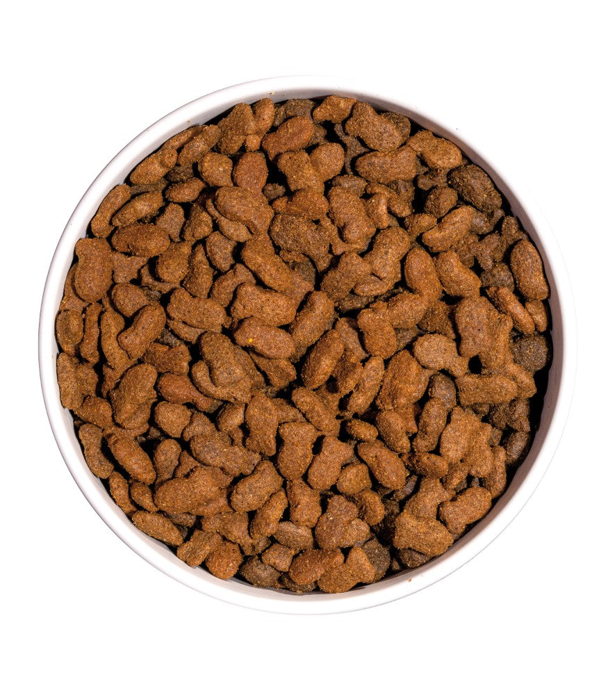 OWNAT PRIME Grain Free Chat stérilisé sans céréales au poisson Tout Pour Eux