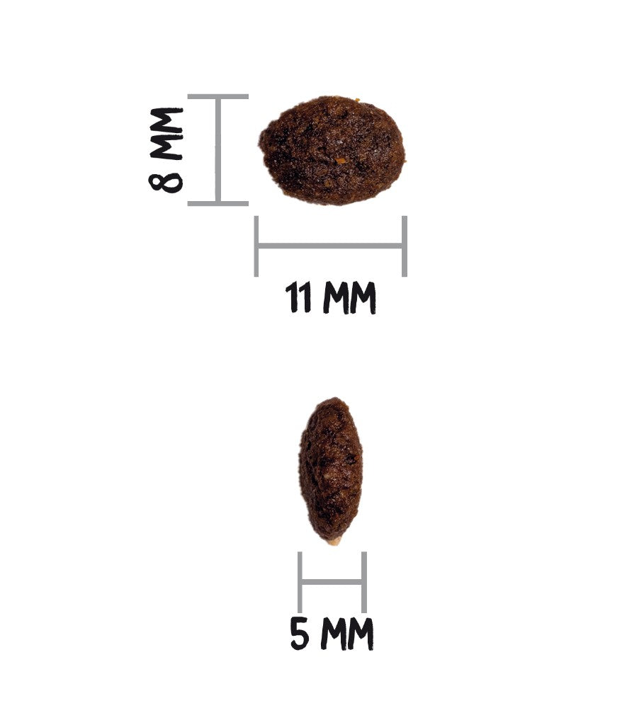 OWNAT PRIME Grain Free pour Chat Adulte sans céréales poulet & dinde Tout Pour Eux