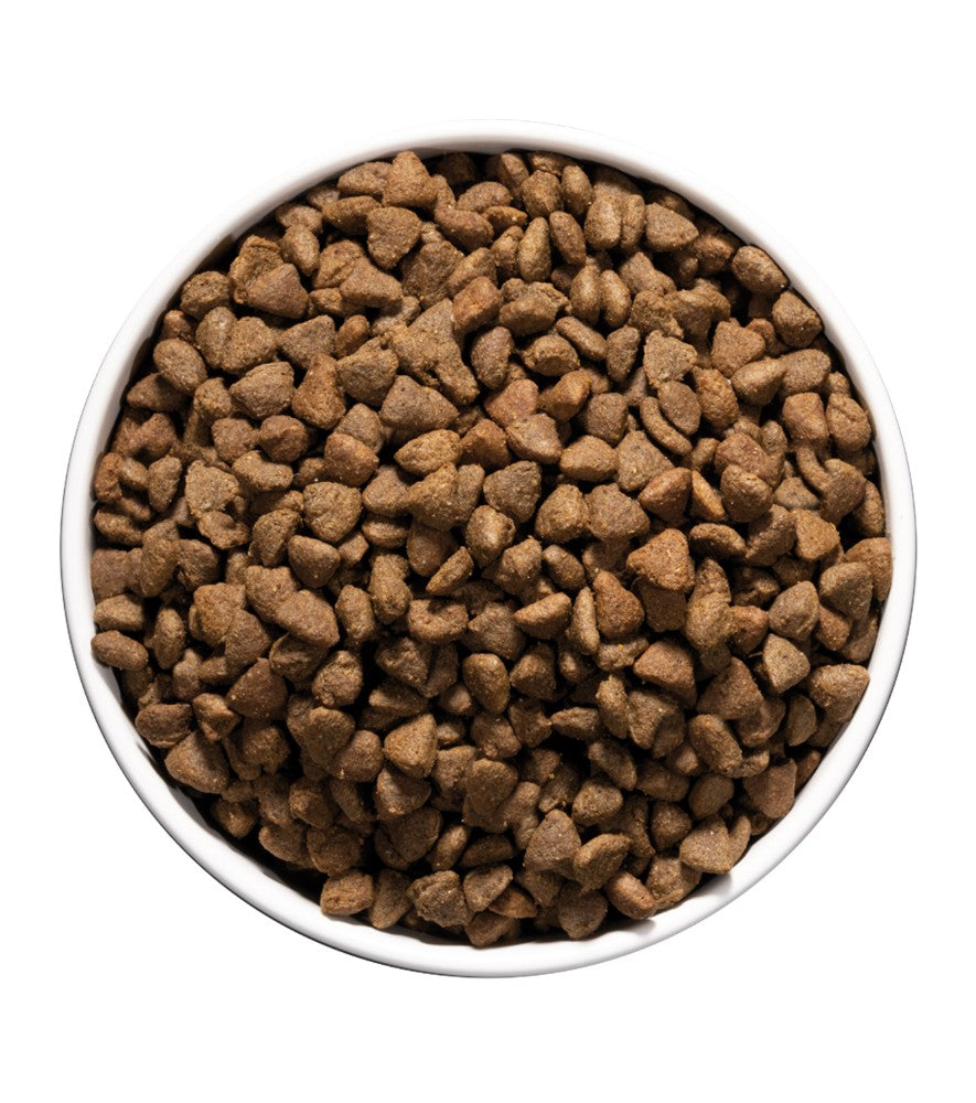 Ownat Care Hypoallergenic pour chat Tout Pour Eux