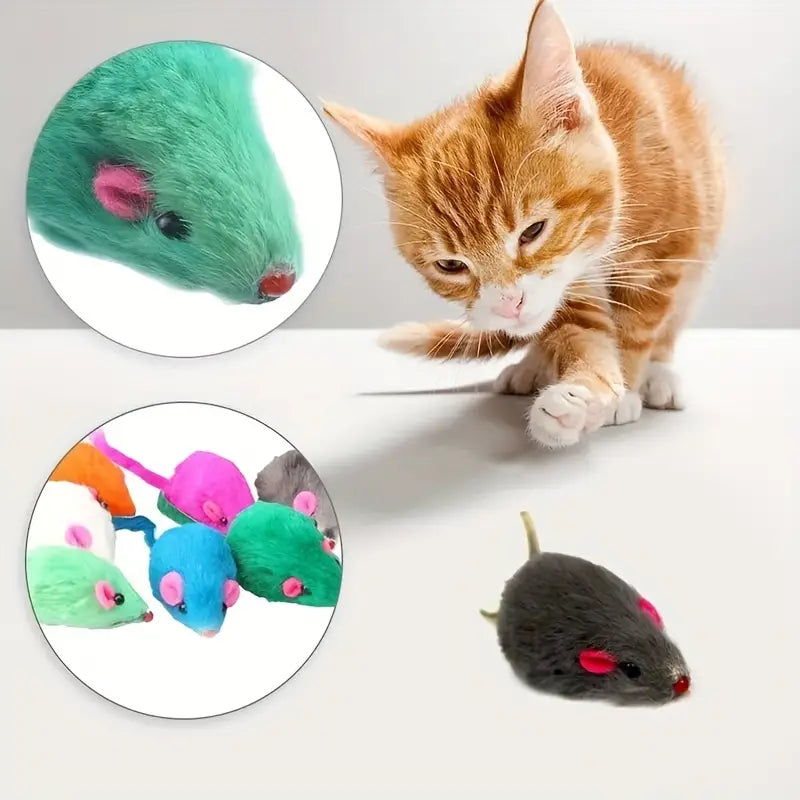 Souris à Macher -1 pièce Tout Pour Eux