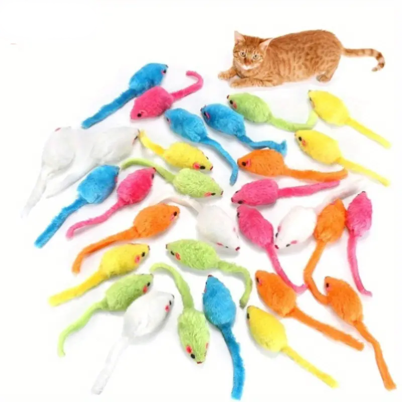 Souris à Macher -1 pièce Tout Pour Eux